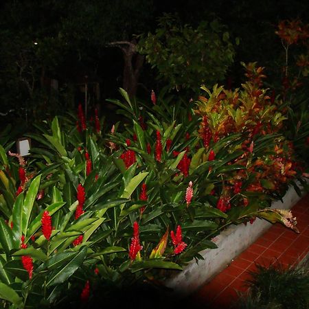 L'Ecomusee Creole De La Guadeloupe Sainte-Rose Eksteriør bilde