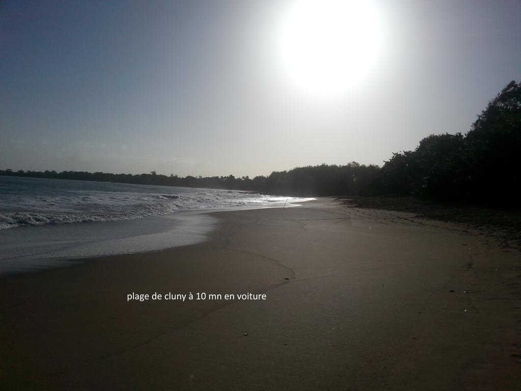 L'Ecomusee Creole De La Guadeloupe Sainte-Rose Eksteriør bilde