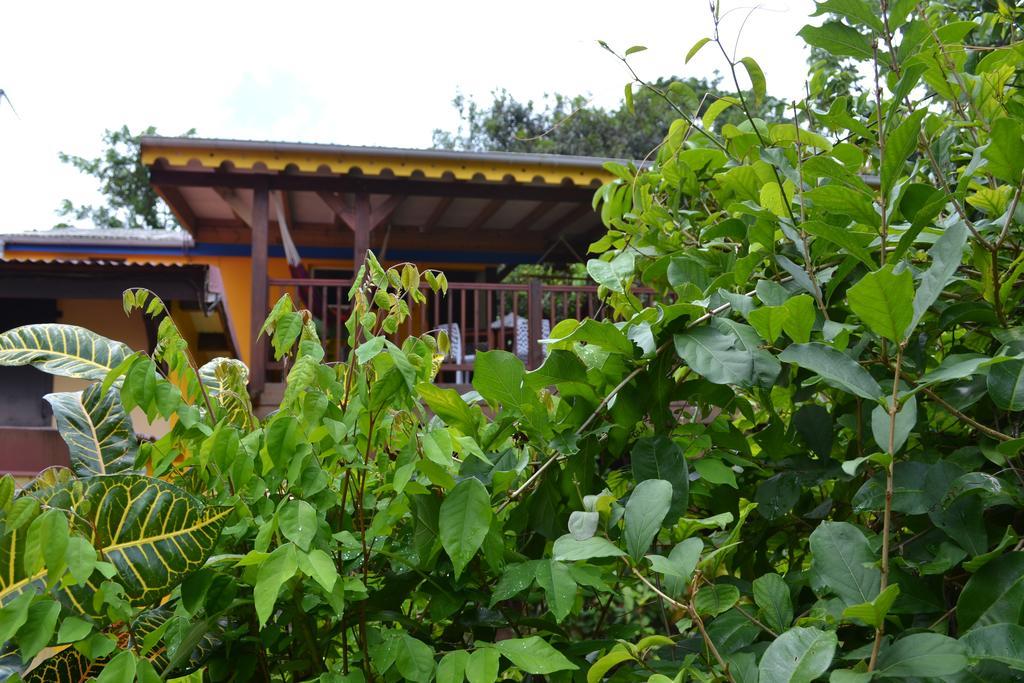L'Ecomusee Creole De La Guadeloupe Sainte-Rose Eksteriør bilde
